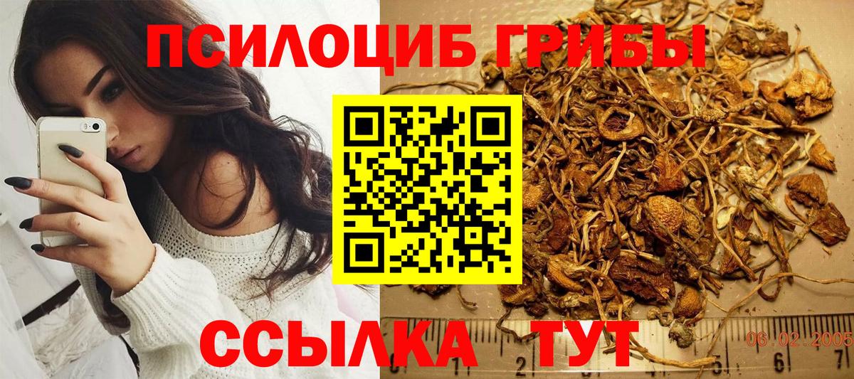 Асино  Псилоцибиновые грибы GOLDEN TEACHER  Вход с VPN 